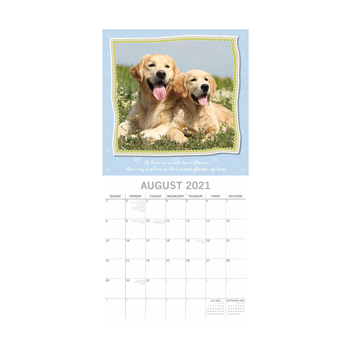 Calendrier 21 Maman Et Leur Bebe Animaux Calendrier 21 Maman Et Leur Bebe Animaux