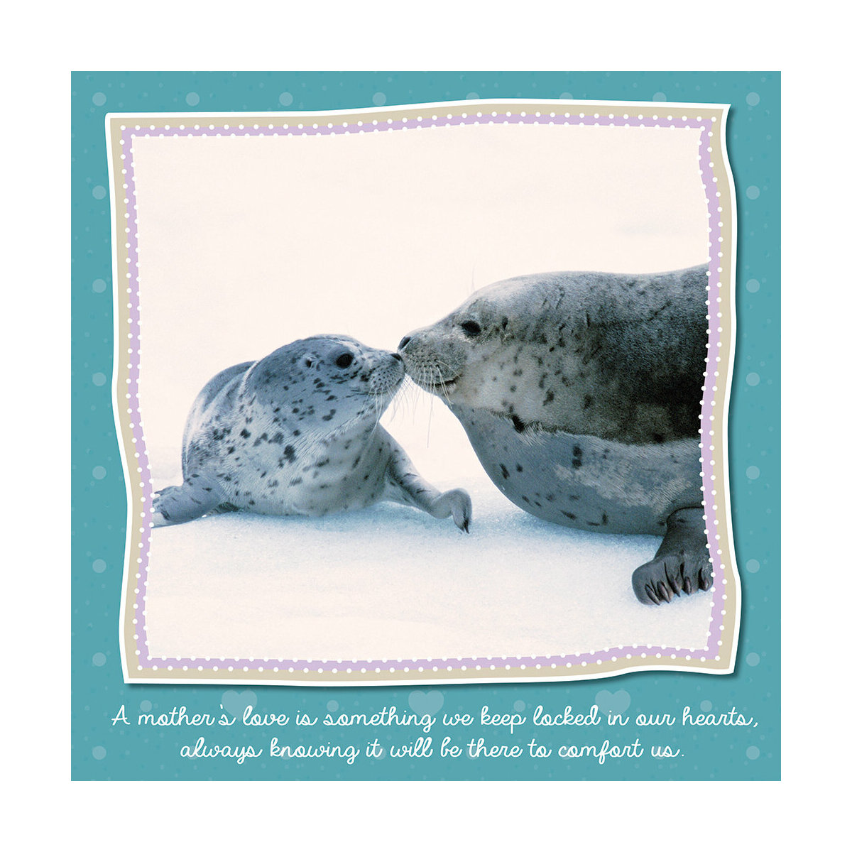 Calendrier 21 Maman Et Leur Bebe Animaux Calendrier 21 Maman Et Leur Bebe Animaux
