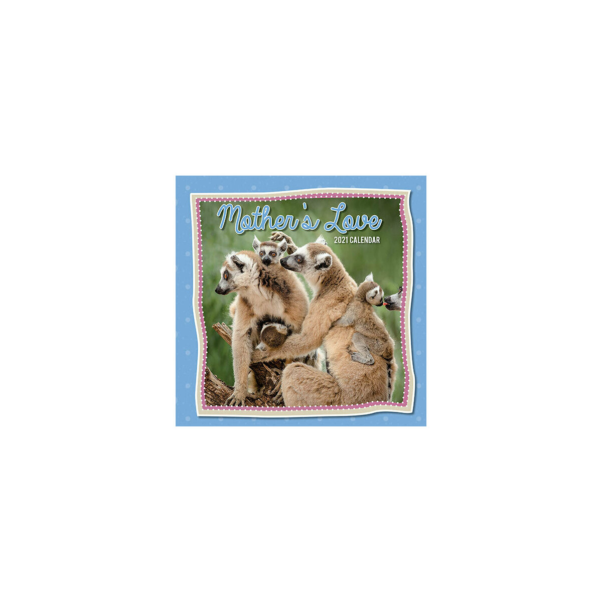 Calendrier 21 Maman Et Leur Bebe Animaux