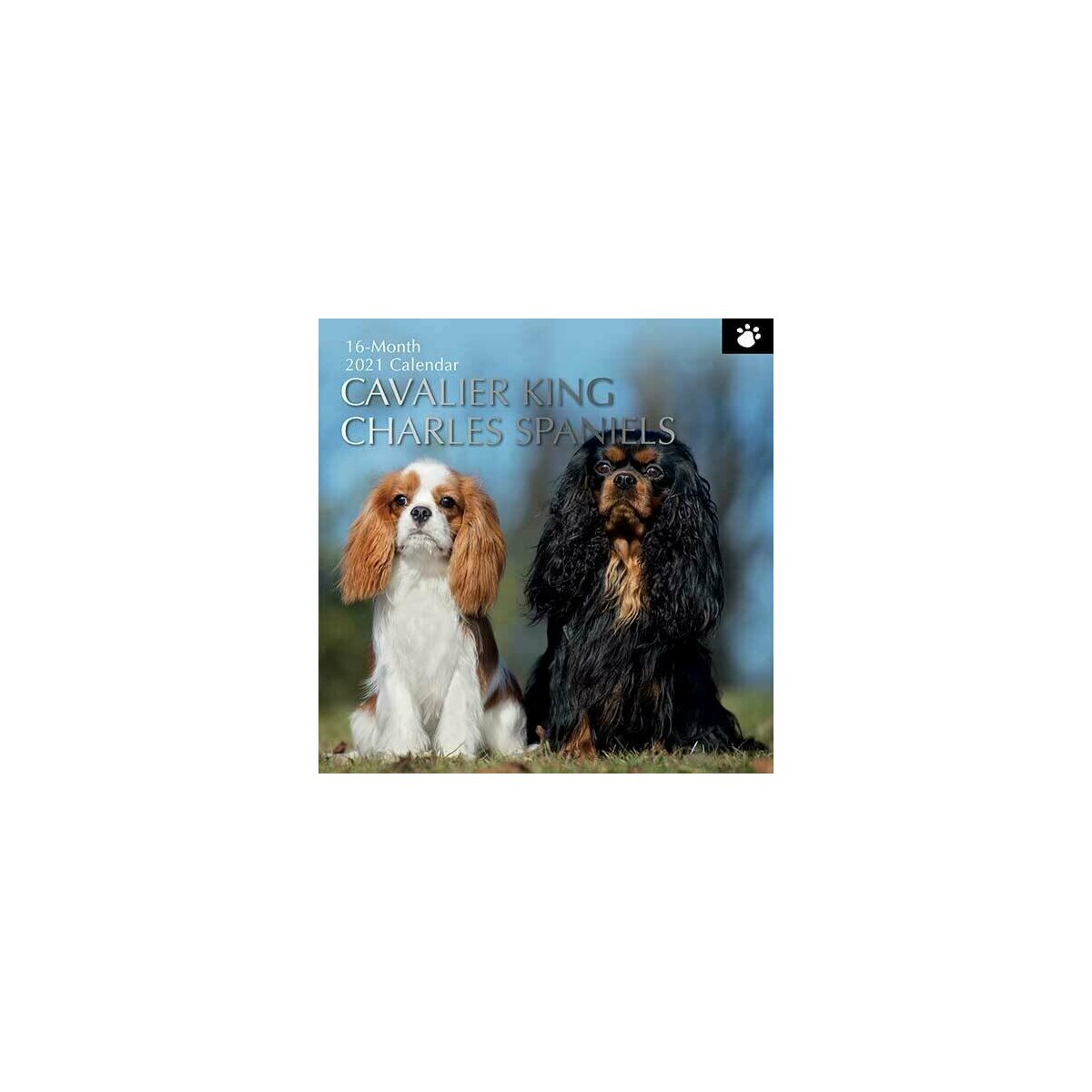 Calendrier Cavalier King Charles 2021