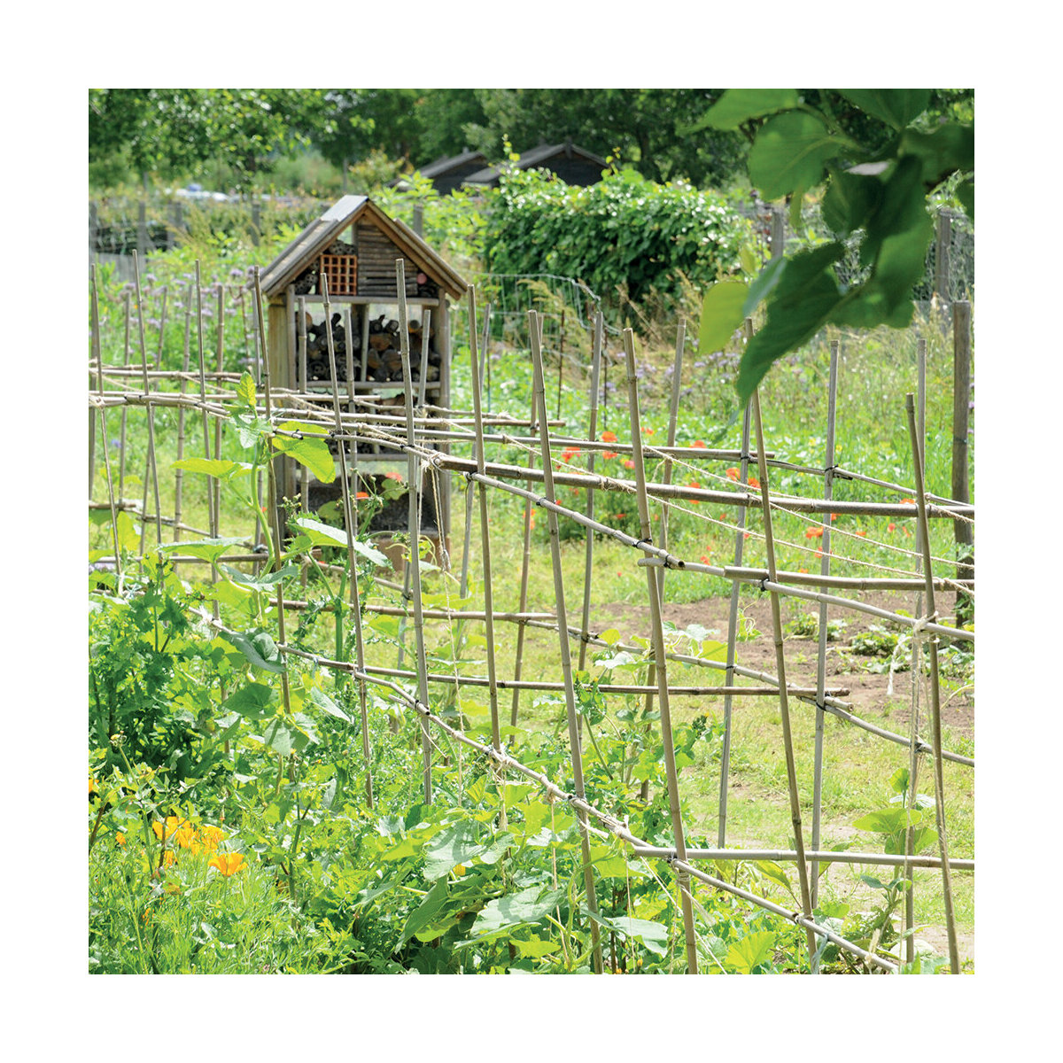 Calendrier Potager 2021