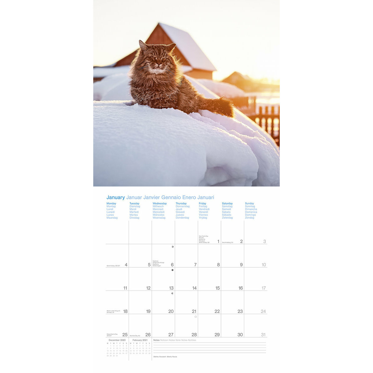 Calendrier Chats 21