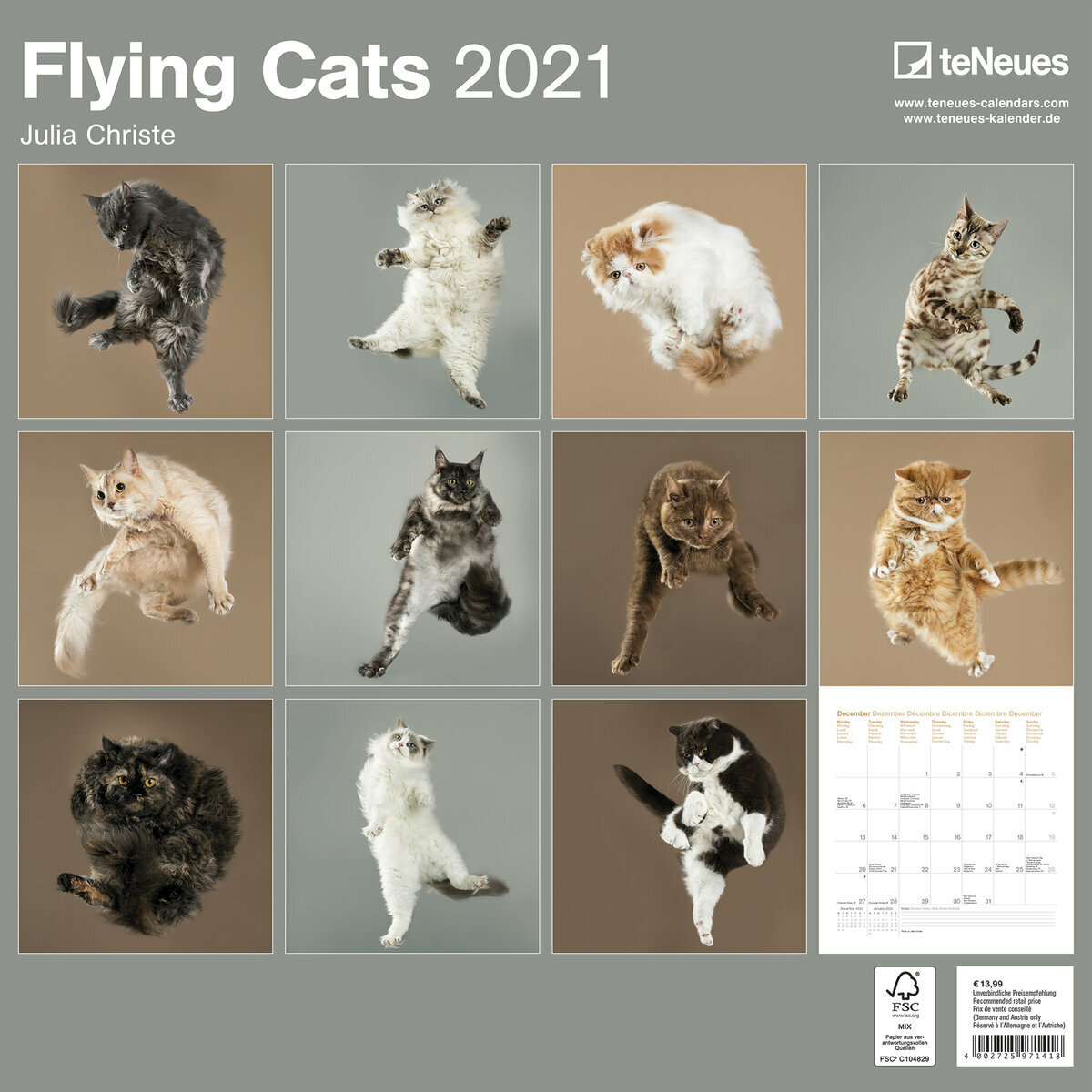 Calendrier Chat Volant 21