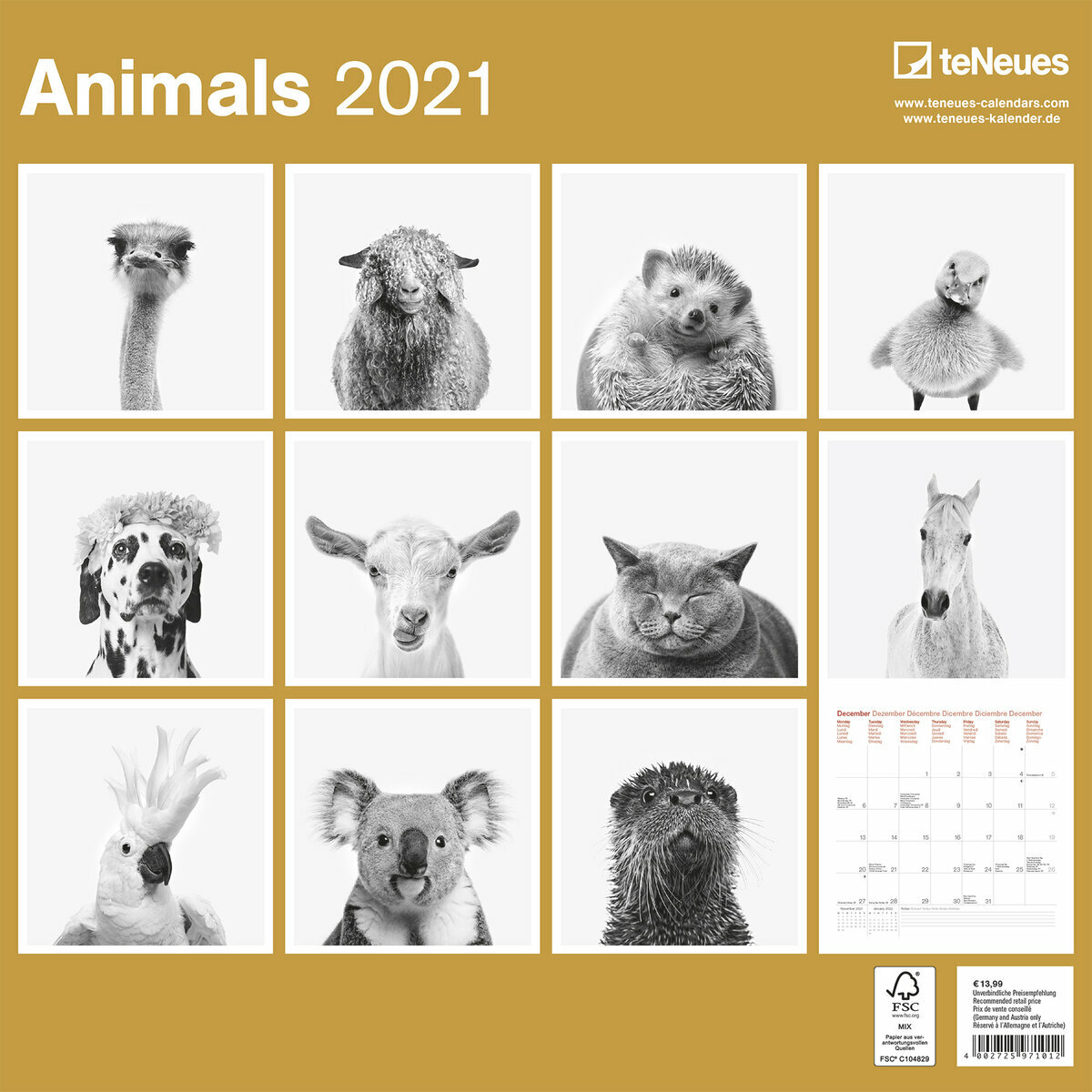 Calendrier 2021 Animaux Noir Et Blanc