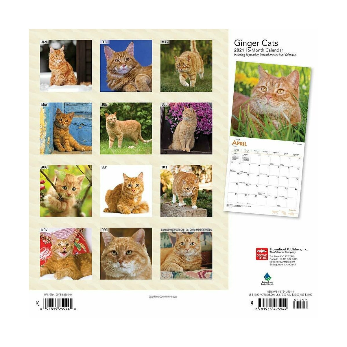 Calendrier Chat Roux 2021 calendrier roux 2021