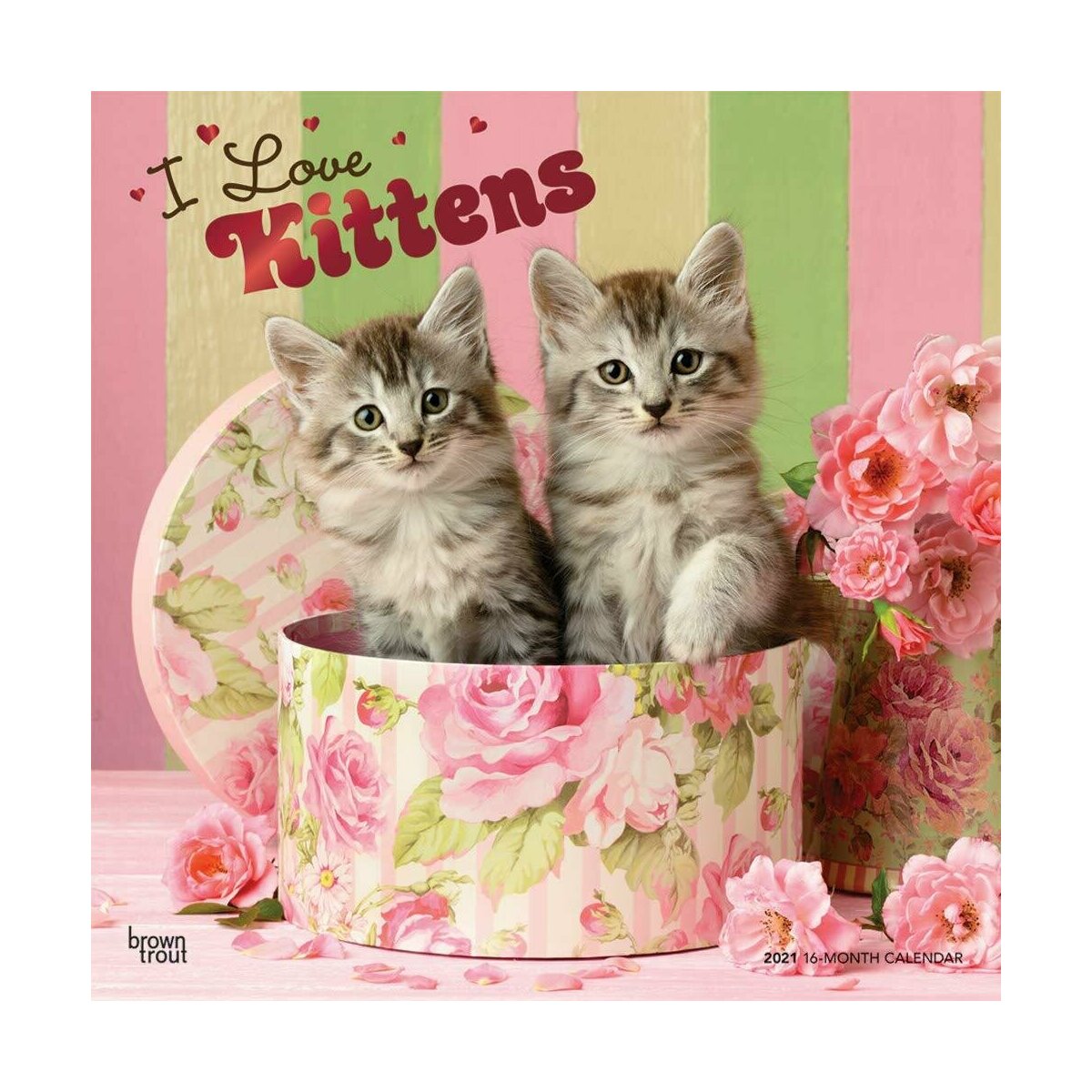 Calendrier Chaton 21 Calendrier Chaton 21