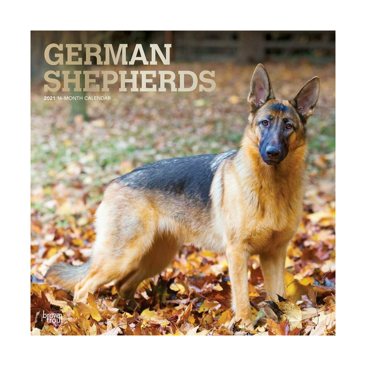 Calendrier 2021 Berger Allemand