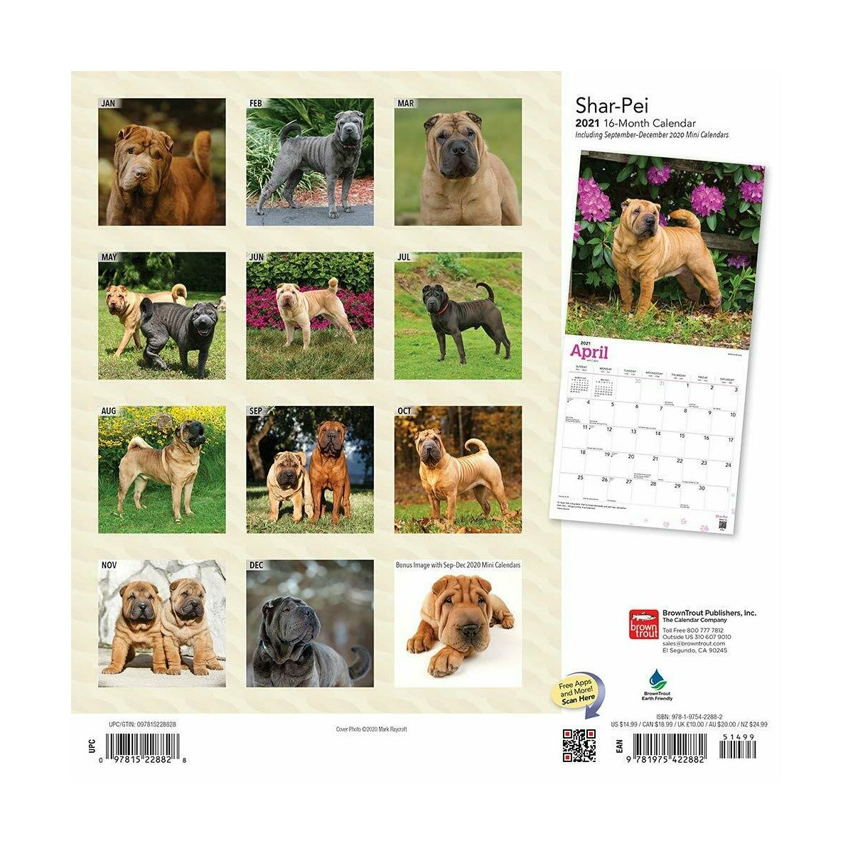 Calendrier 2021 Shar Pei