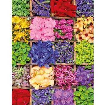 Carnet de note pétale fleur Carnet de note pétale fleur