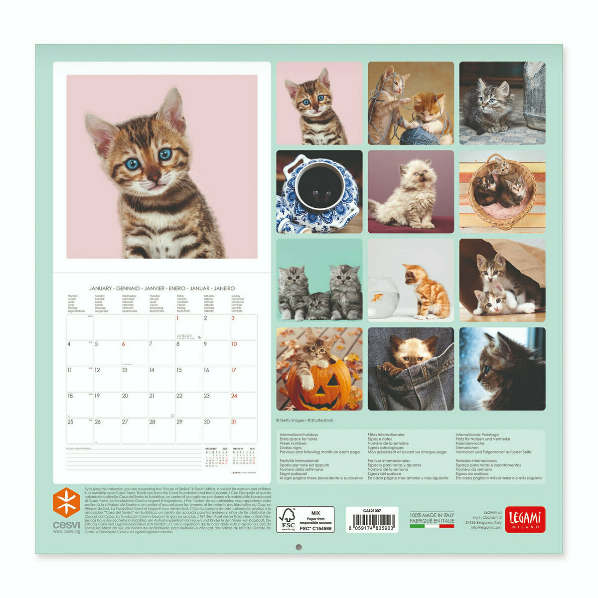 Calendrier 2021 Chatons calendrier chatons 2021