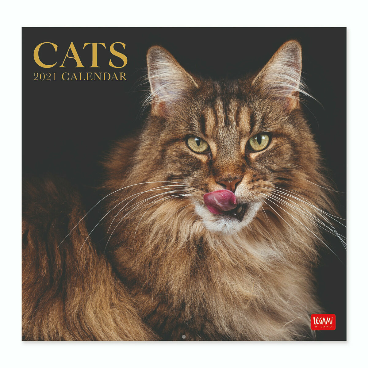 Calendrier 21 Chat