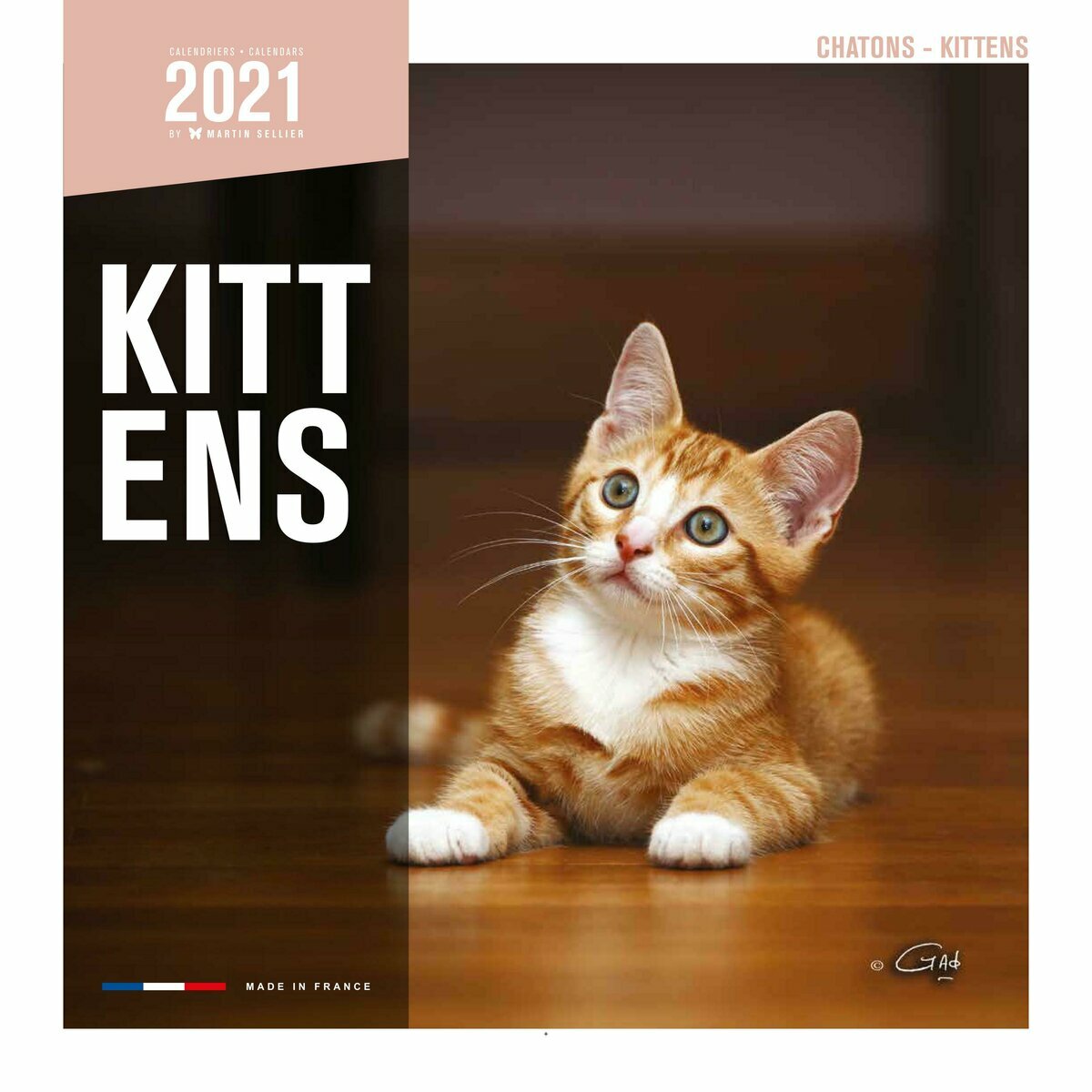 Calendrier 2021 Chatons