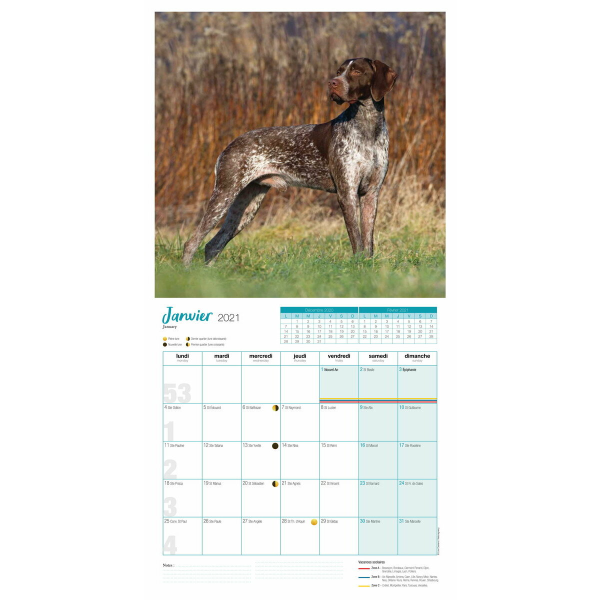 Calendrier 2021 Chien De Chasse calendrier 2021 chasse