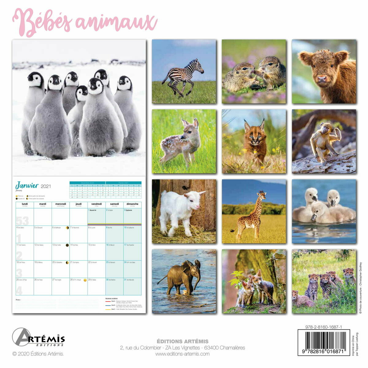 Calendrier 2021 Bebe Animaux calendrier animaux 2021