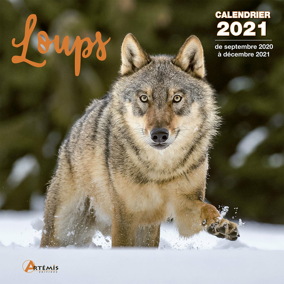 Calendrier 2021 Loup