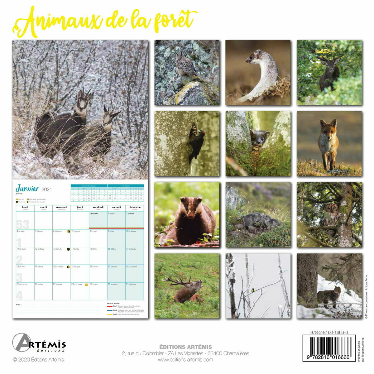 Calendrier 2021 Animaux De La Foret calendrier animaux 2021