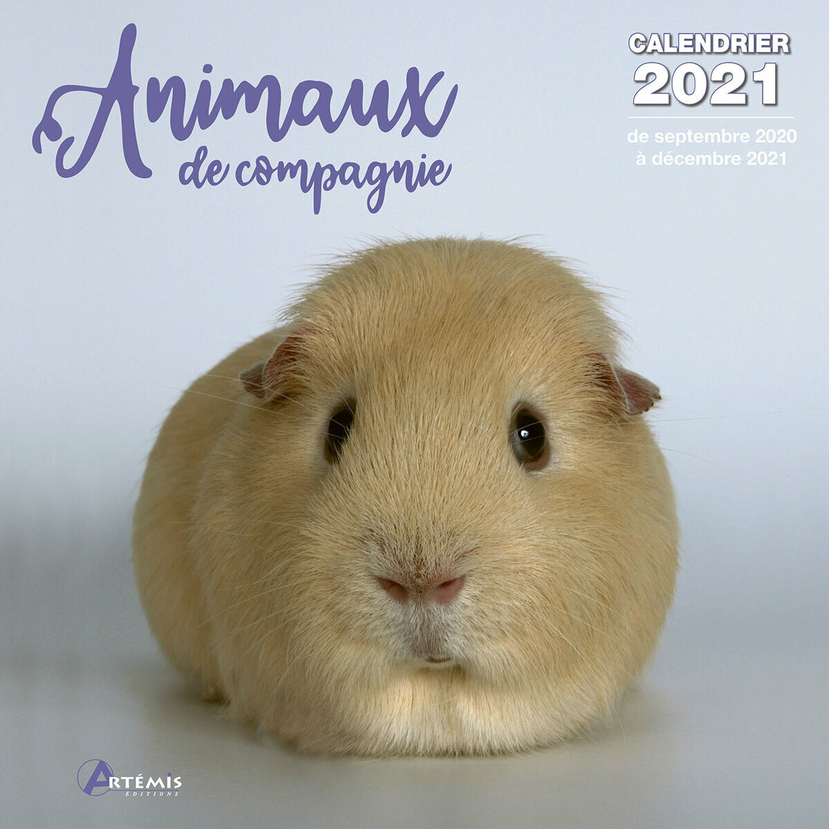 Calendrier 2021 Animaux de compagnie NAC