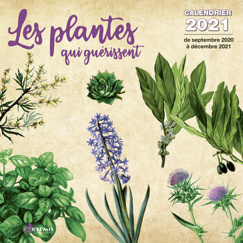Calendrier 2021 Fleurs Et Jardins calendrier troc plantes 2021