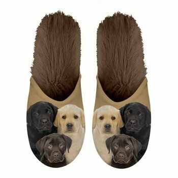 Chaussons Labrador