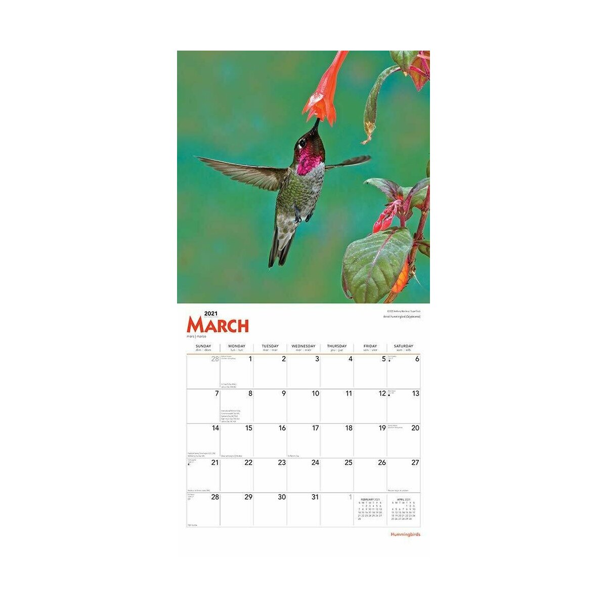 Calendrier 2021 Colibri Calendrier 2021 Colibri