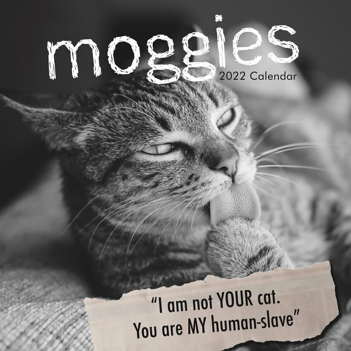 Calendrier 22 Humour De Chat Calendrier 22 Humour De Chat
