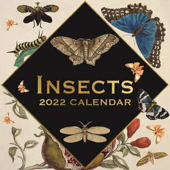 Calendrier 2022 Dessin insecte