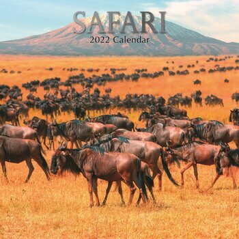 Calendrier 2022 Safari