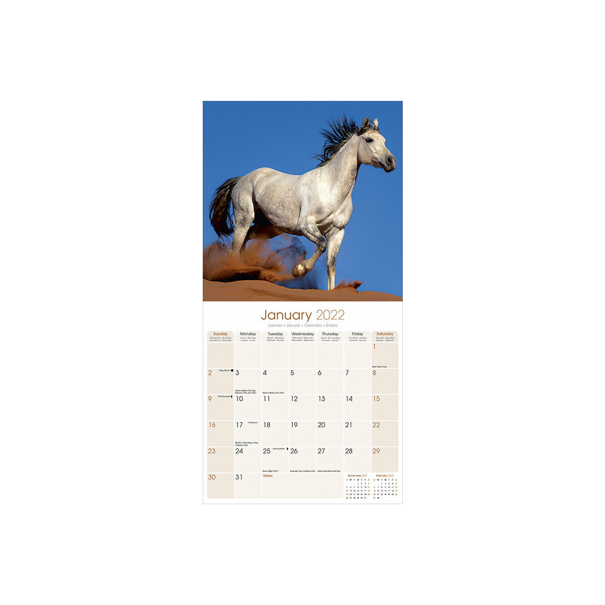 Calendrier 2022 Chevaux arabes Calendrier 2022 Chevaux arabes