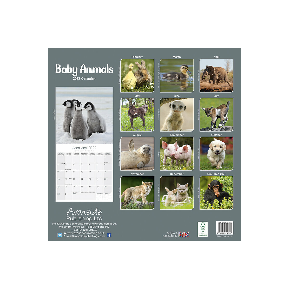 Calendrier 22 Bebes Animaux Calendrier 22 Bebes Animaux