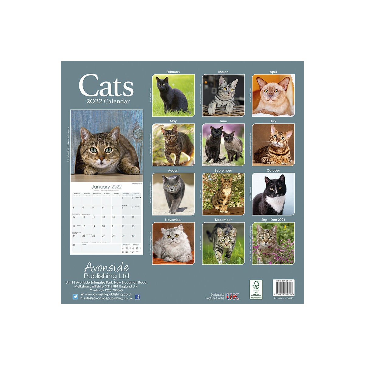Calendrier 2022 Chat