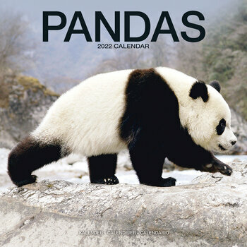 Calendrier 2022 Panda