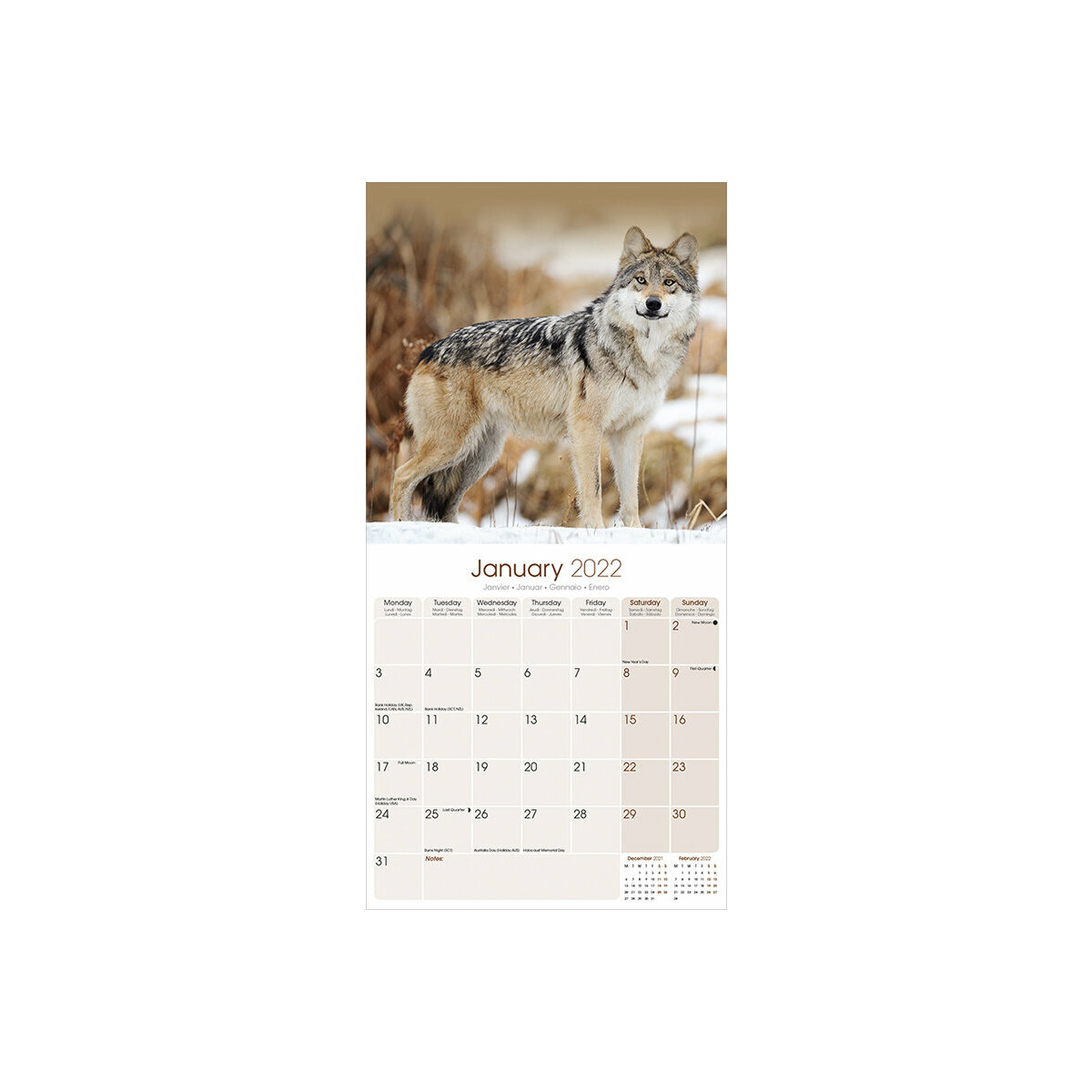 Calendrier Du Loup 2023 2024 Calendrier 2022 Loup