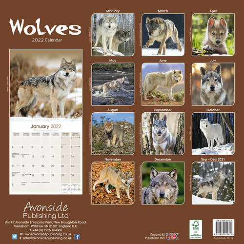 Calendrier Du Loup 2023 2024 Calendrier 2022 Loup Calendrier Du Loup 2023 2024 Calendrier 2022 Loup