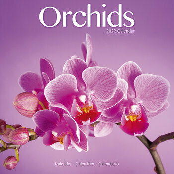 Calendrier 2022 Orchidée