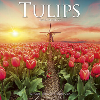 Calendrier 2022 Tulipe