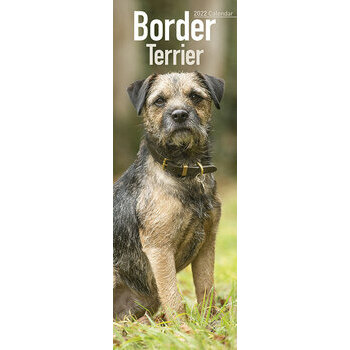 Calendrier 2022 Border terrier slim