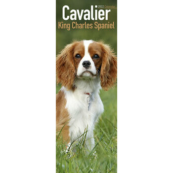Calendrier 2022 Cavalier king charles slim