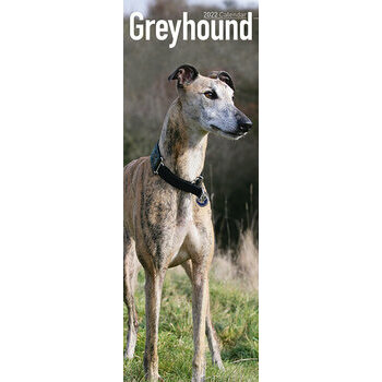 Calendrier 2022 Greyhound slim