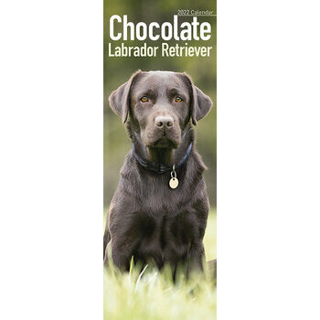 Calendrier 2022 Labrador chocolat slim