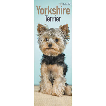 Calendrier 2022 Yorkshire terrier slim