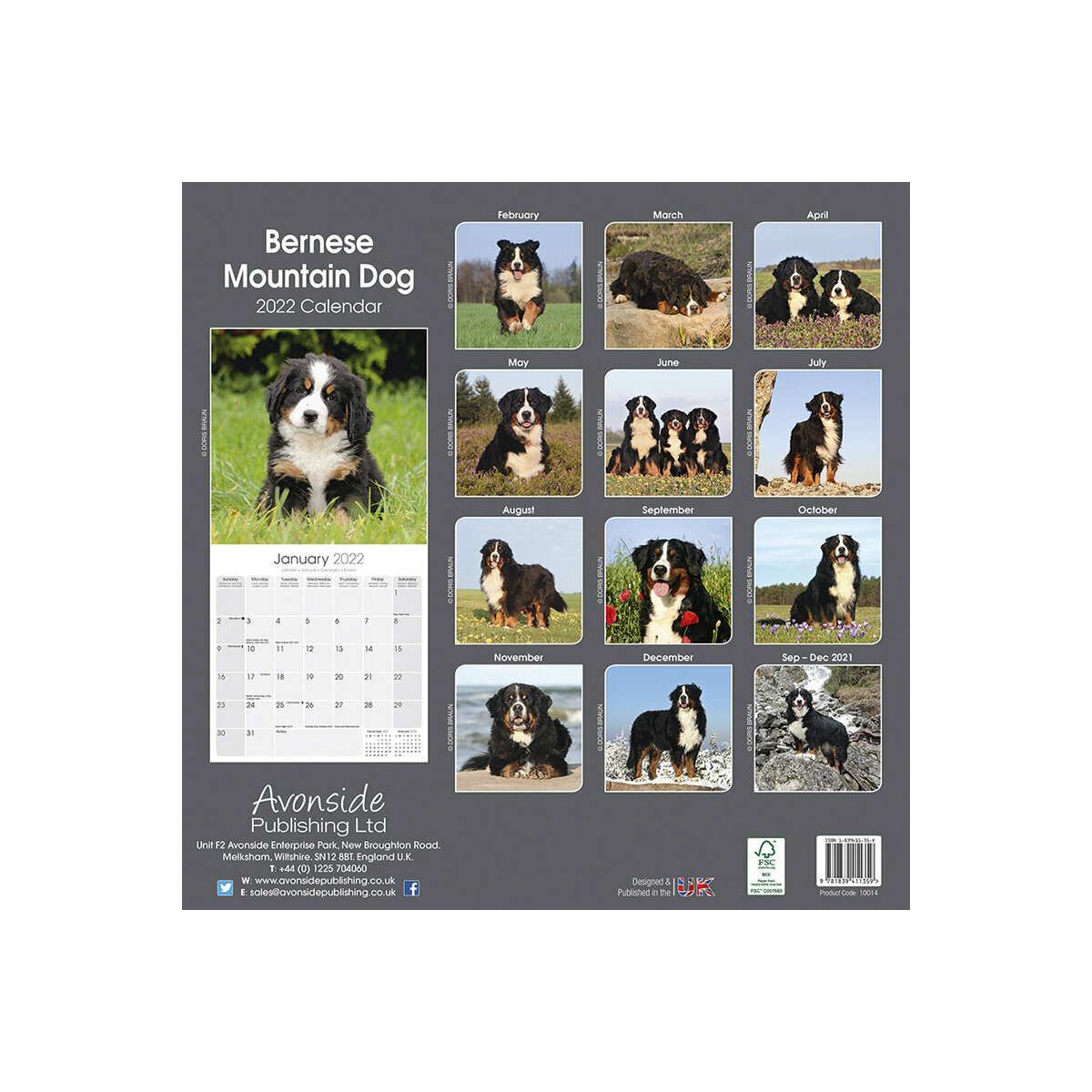 Calendrier Bouvier Bernois 2022