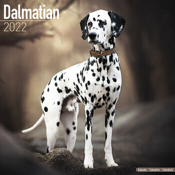 Calendrier 2022 Dalmatien