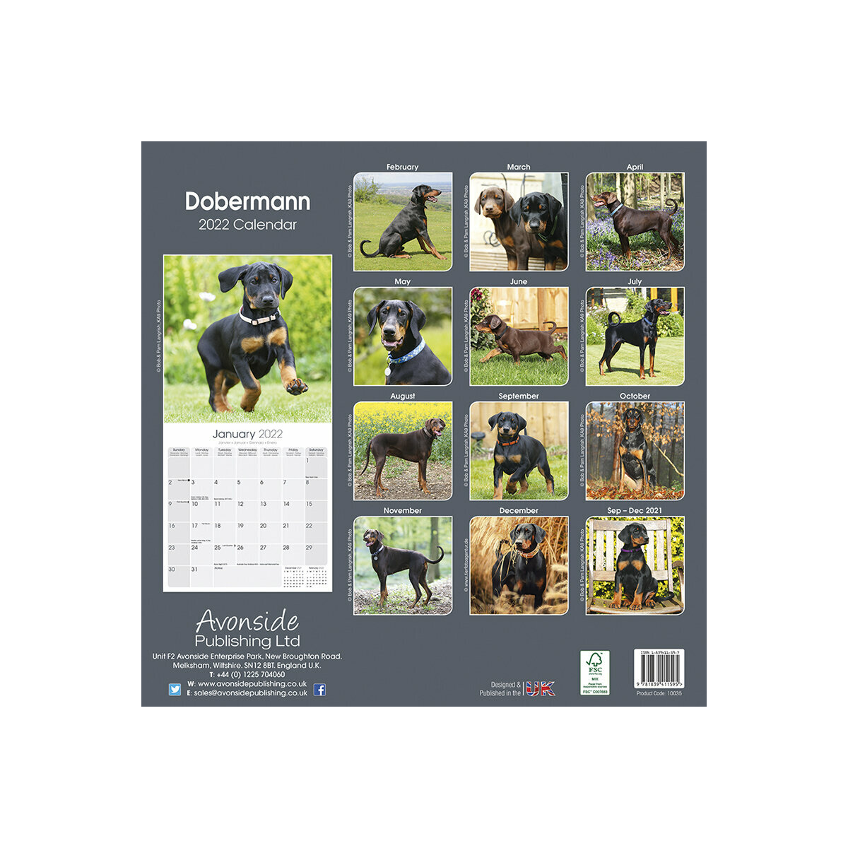 Calendrier Doberman 2022