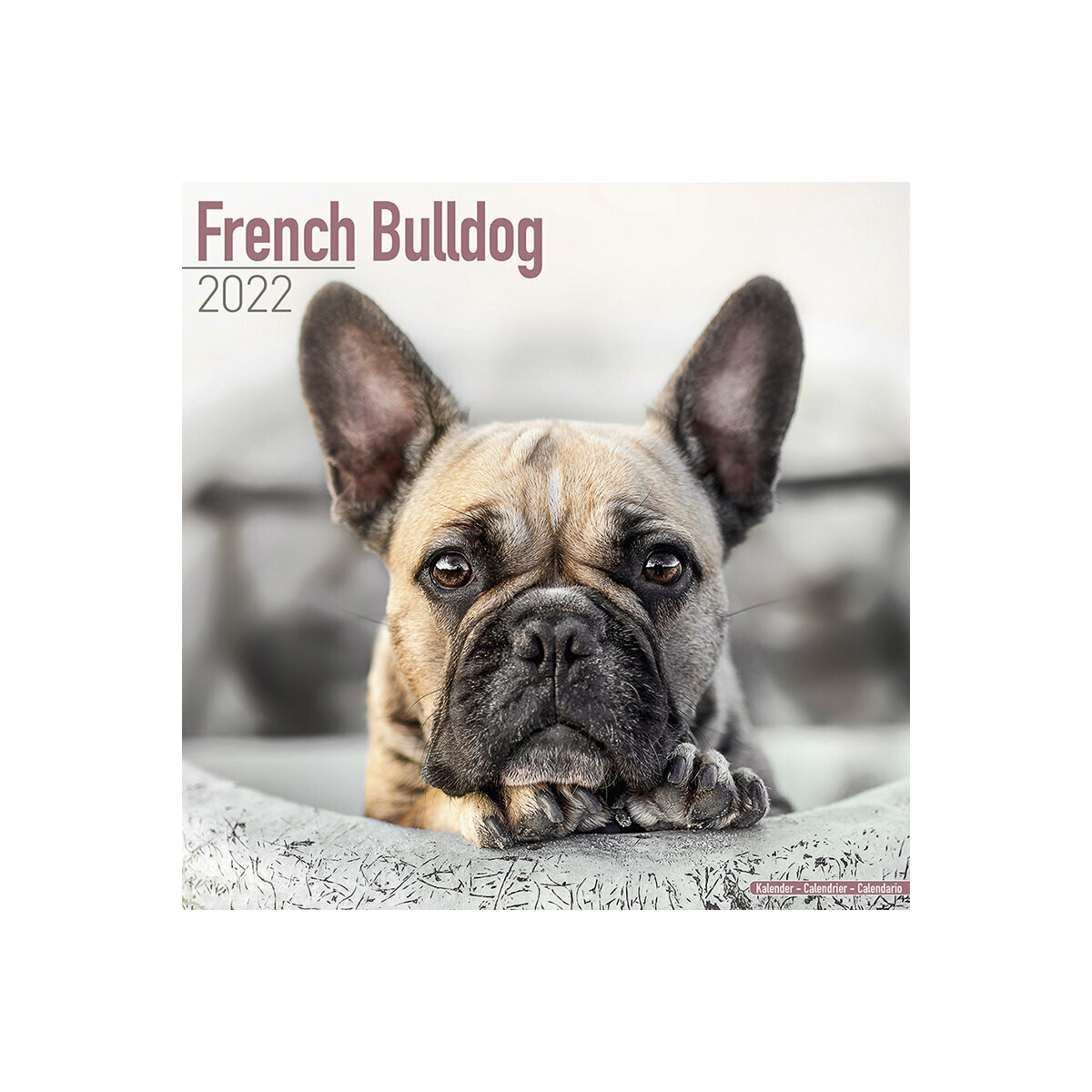 Calendrier Bouledogue Francais 2022