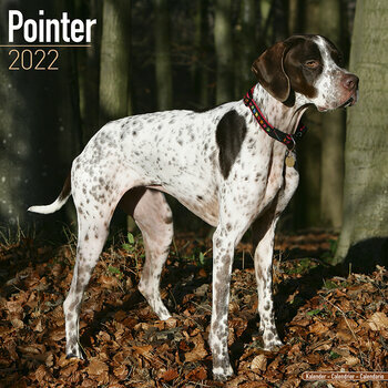 Calendrier 2022 Pointer