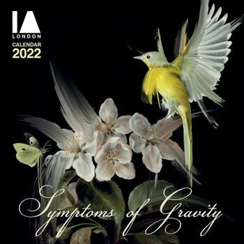 Calendrier 2022 Fleurs - Ira Avezov
