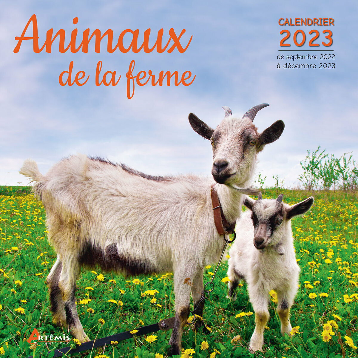 Calendrier 2023 Animaux Calendrier 2023 Animaux De La Ferme