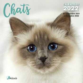 Calendrier 2022 Chats