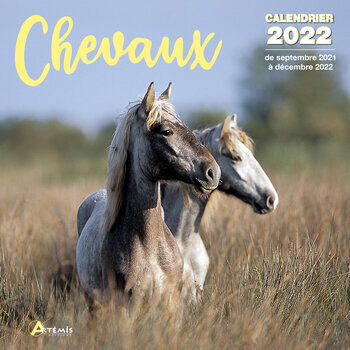 Calendrier 2022 Chevaux