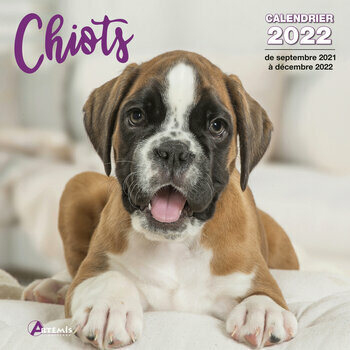Calendrier 2022 Chiot